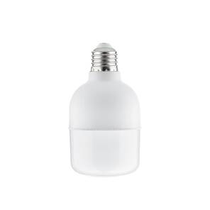 10W TORCH LED AMPUL E27